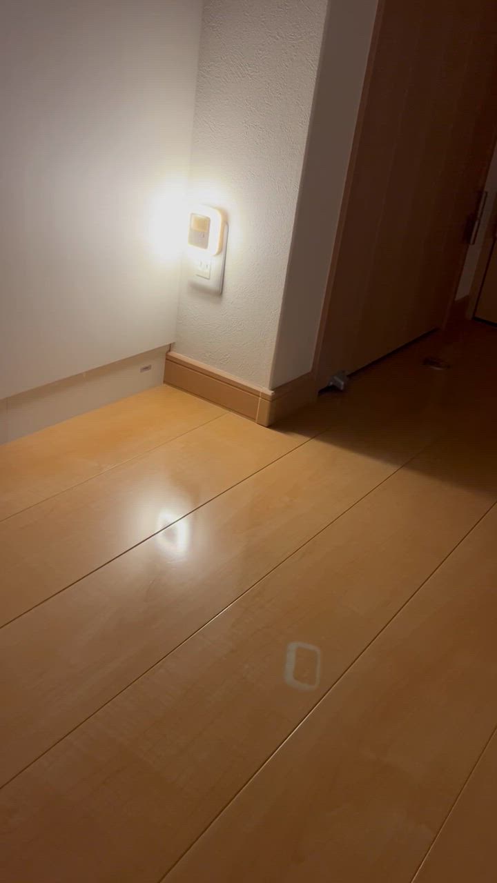 全体のレビュー動画のサムネイル | 13