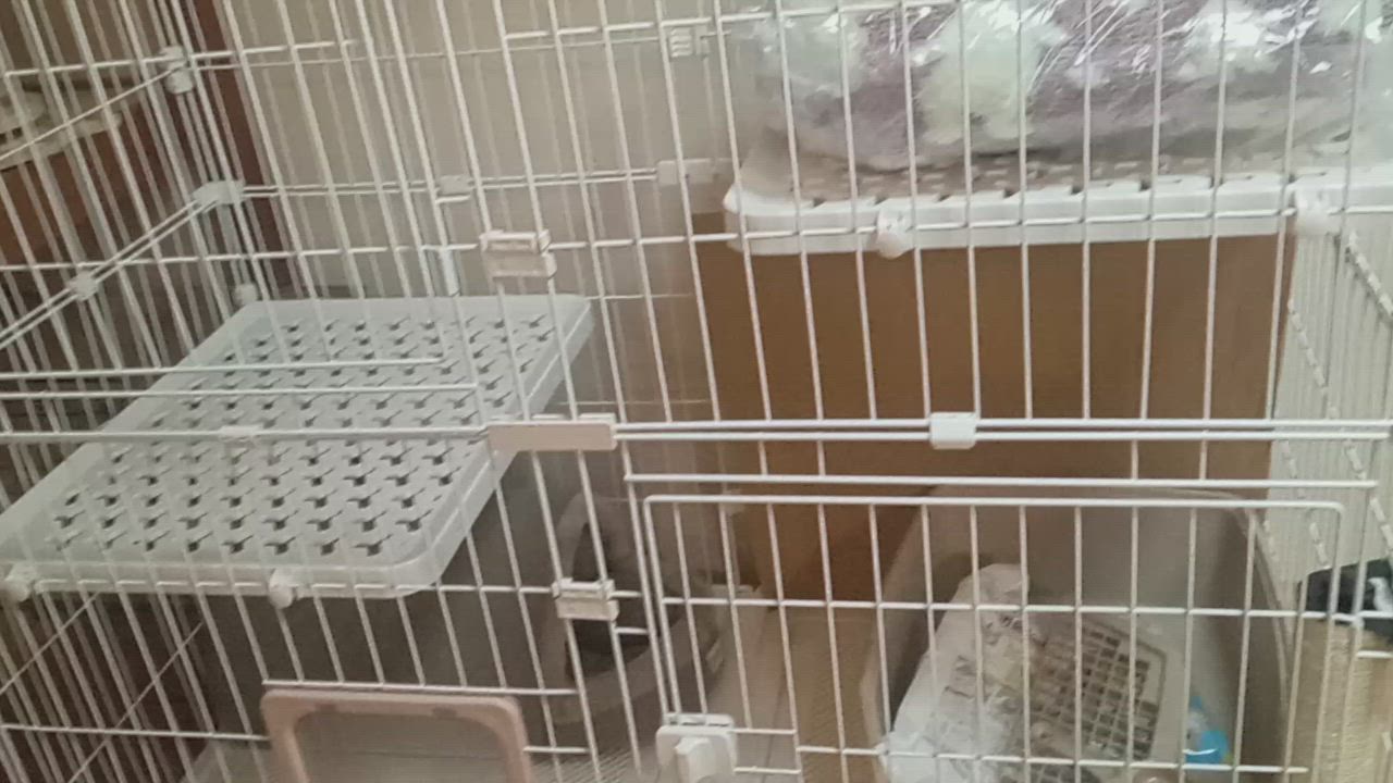 全体のレビュー動画のサムネイル | 0