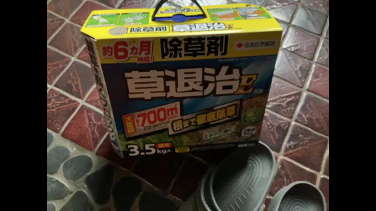 1件目のレビュー動画のサムネイル | 0