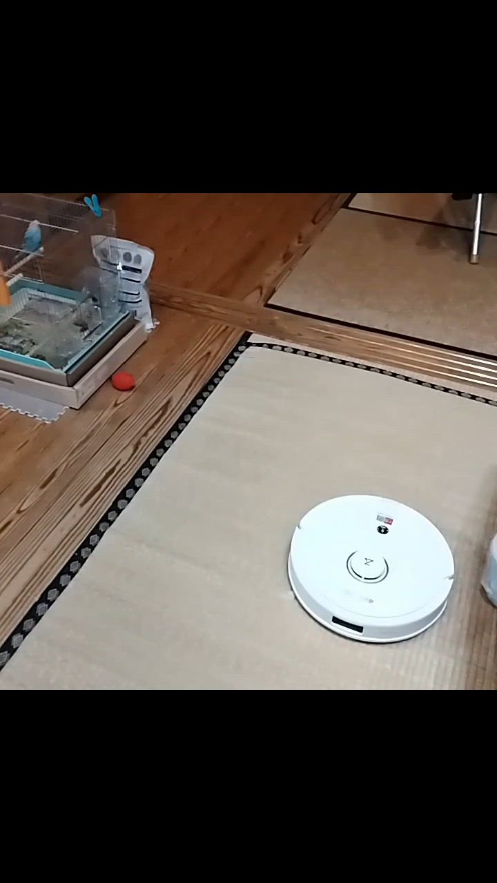 全体のレビュー動画のサムネイル | 5