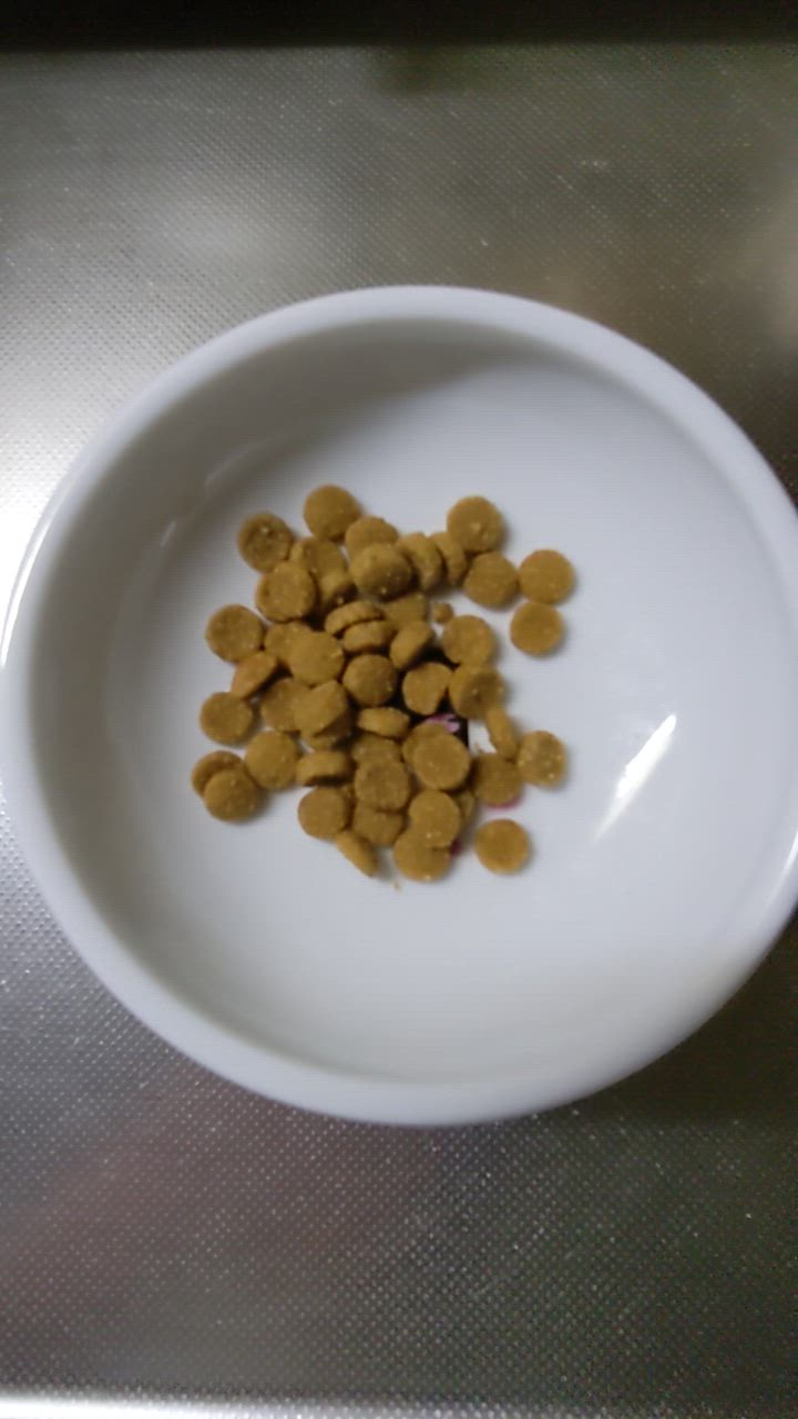 全体のレビュー動画のサムネイル | 1