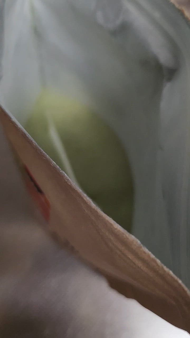 全体のレビュー動画のサムネイル | 1