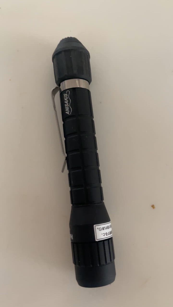 新品 送料無料 極液UFO 同等品 100本 激安 RZスパイラルUVB26W2.0CT2026 REPTI ZOO 爬虫類用紫外線灯 販売 通販