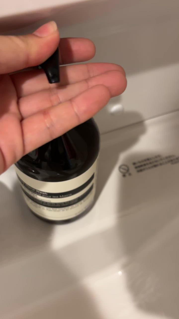 Aesop イソップ レバレンス ハンドウォッシュ 500ml/宅配便送料
