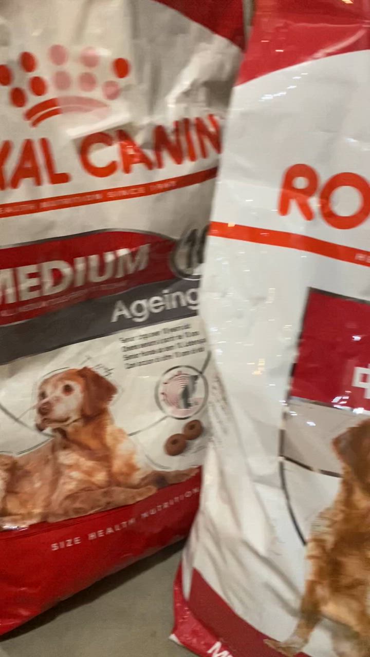 1件目のレビュー動画のサムネイル | 0