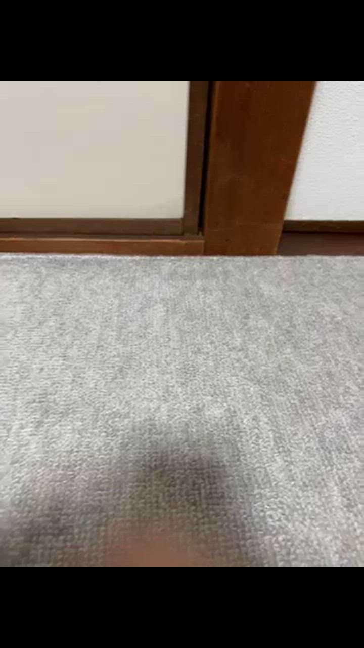サヤンサヤン カーペット 4.5畳 江戸間 ラグマット 抗菌 防臭 サヤンサヤン カーペット 4.5畳 江戸間 ラグマット 抗菌 防臭
