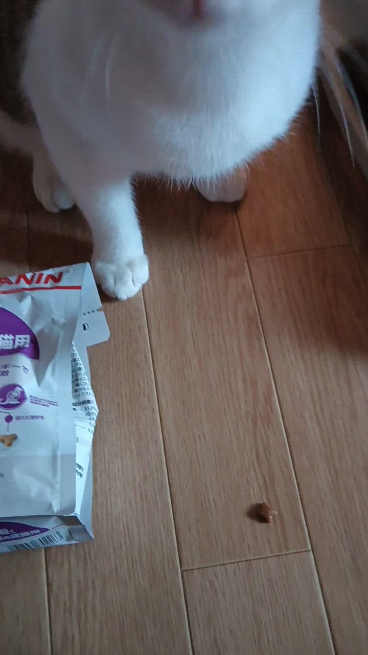 全体のレビュー動画のサムネイル | 0