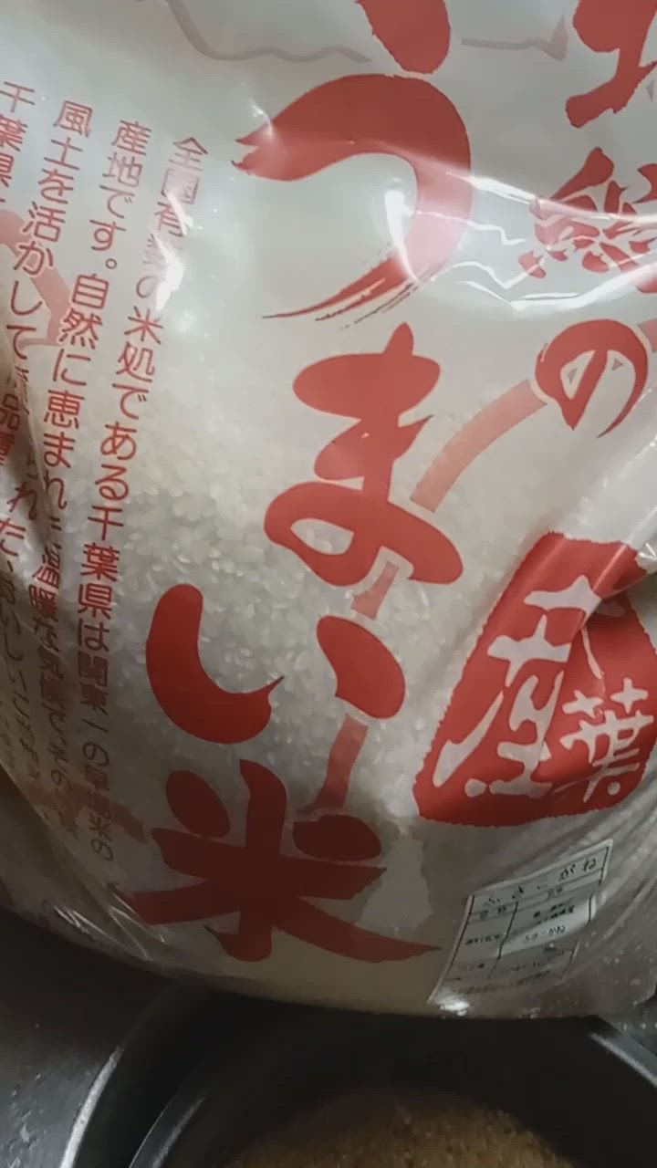 ふさおとめ 米 玄米 10kg（5kg×2） 令和6年 新米 千葉県産