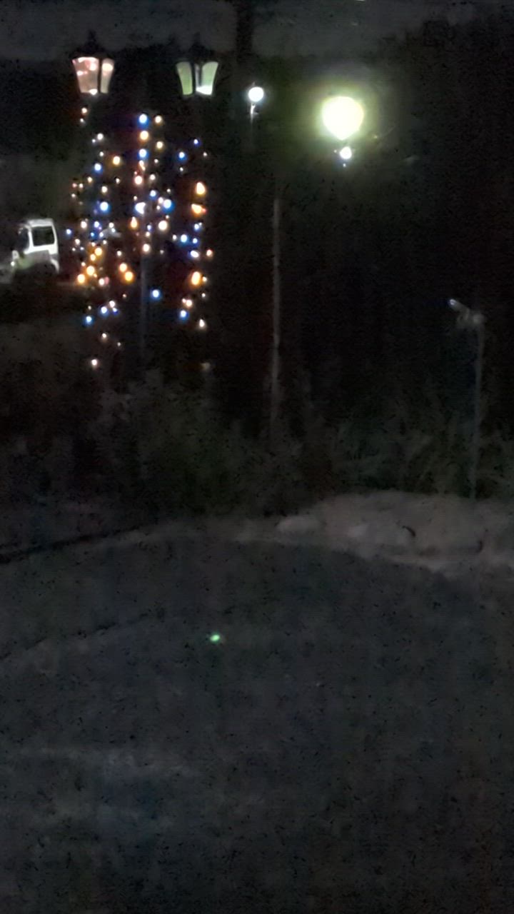 全体のレビュー動画のサムネイル | 14