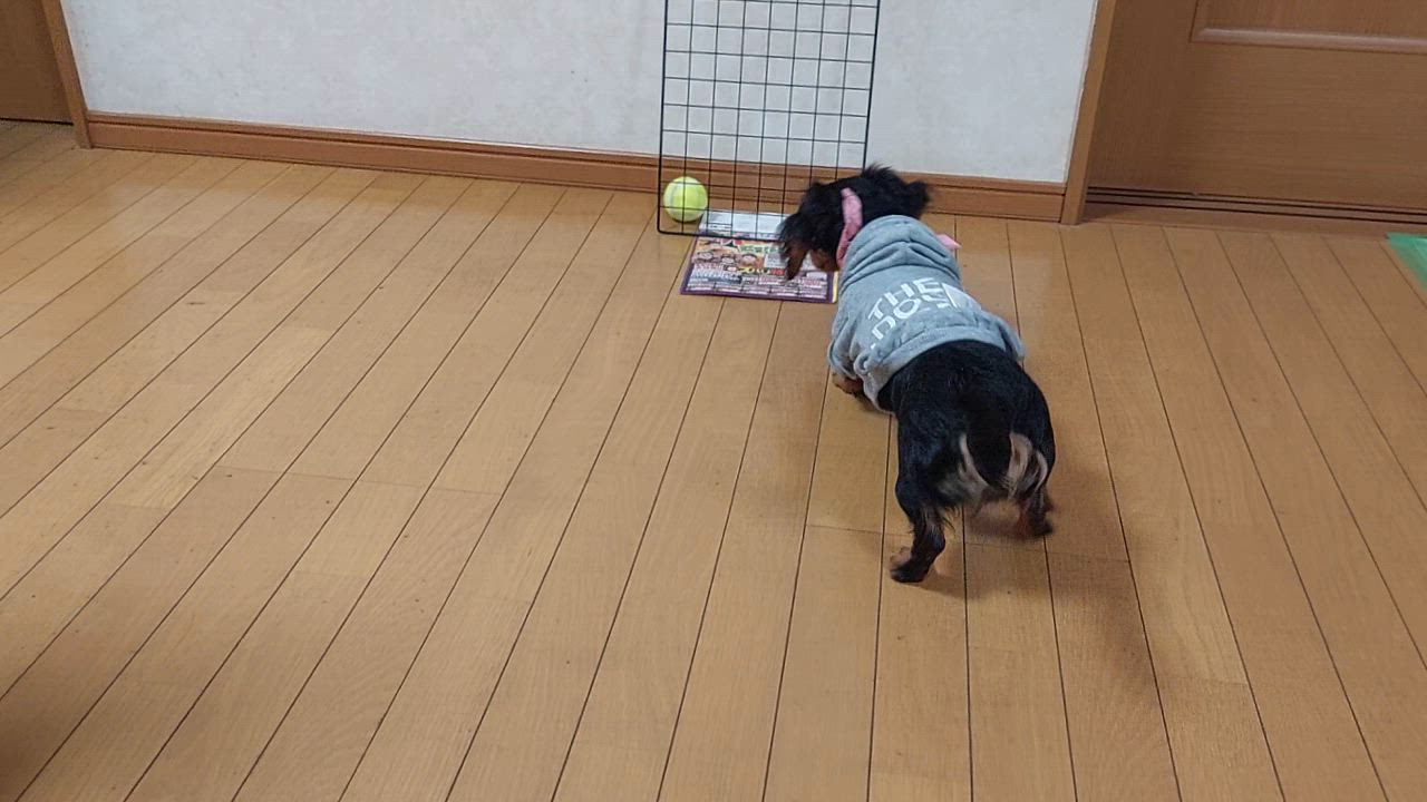 全体のレビュー動画のサムネイル | 0