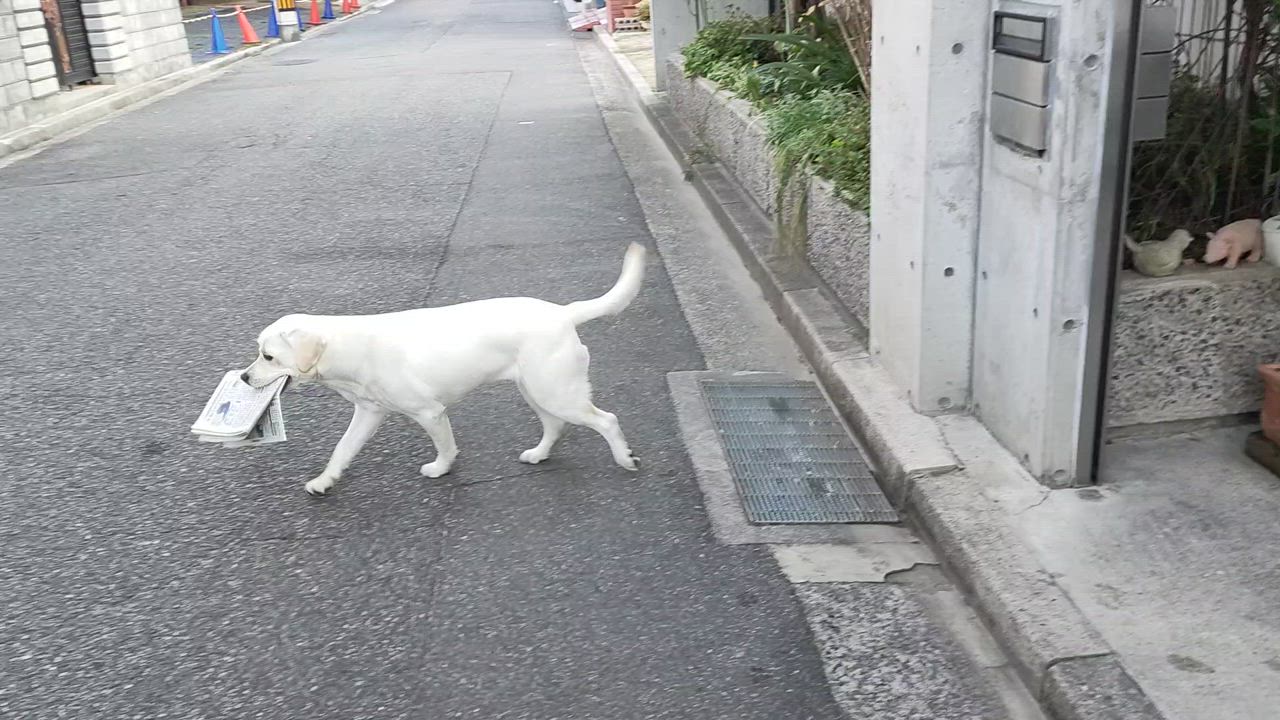 全体のレビュー動画のサムネイル | 2