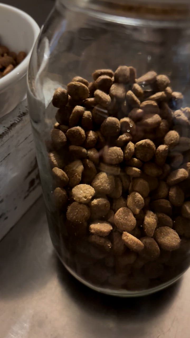 全体のレビュー動画のサムネイル | 0