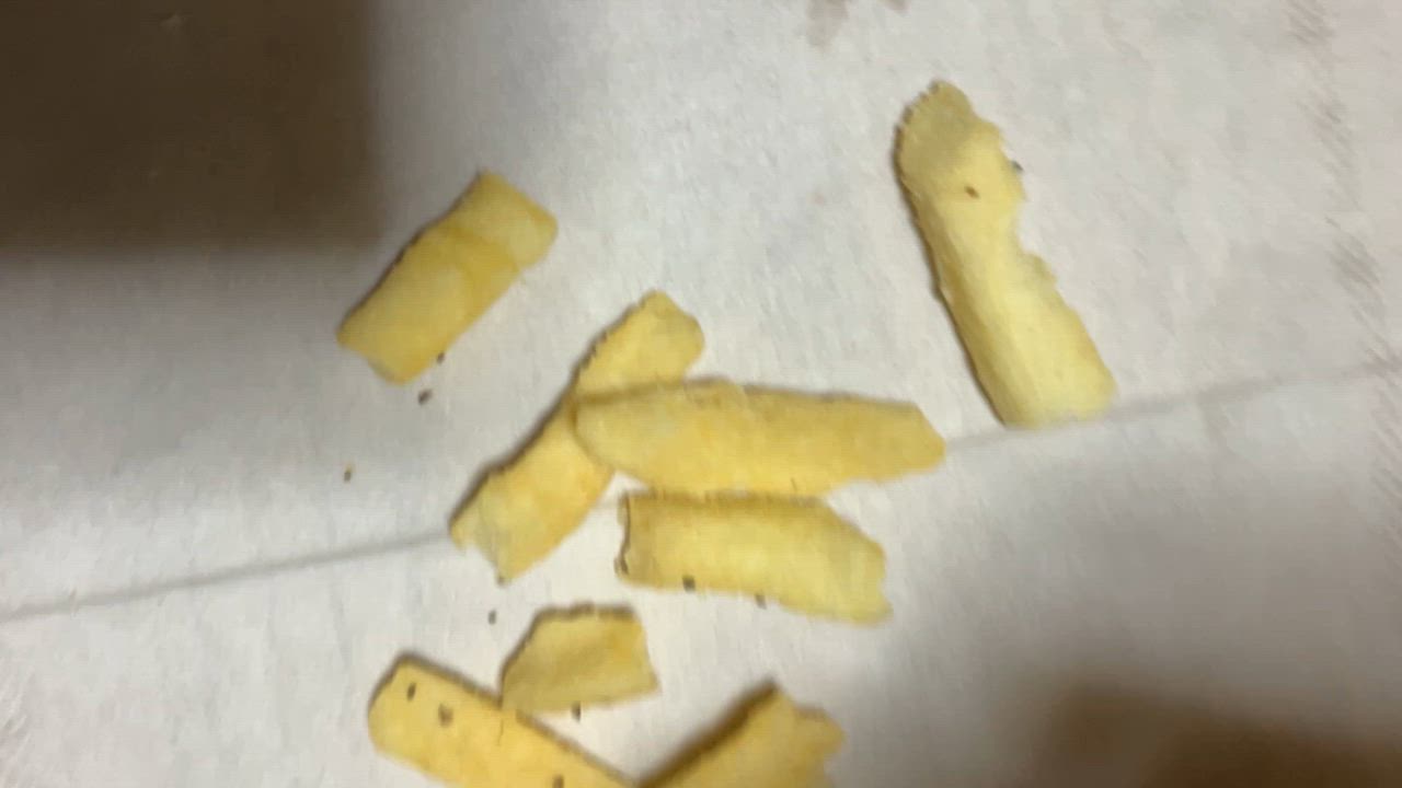 全体のレビュー動画のサムネイル | 18