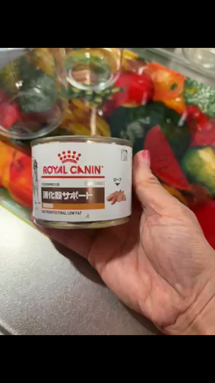 ロイヤルカナン 食事療法食 犬用 消化器サポート 低脂肪 ロイヤルカナン 食事療法食 犬用 消化器サポート 低脂肪