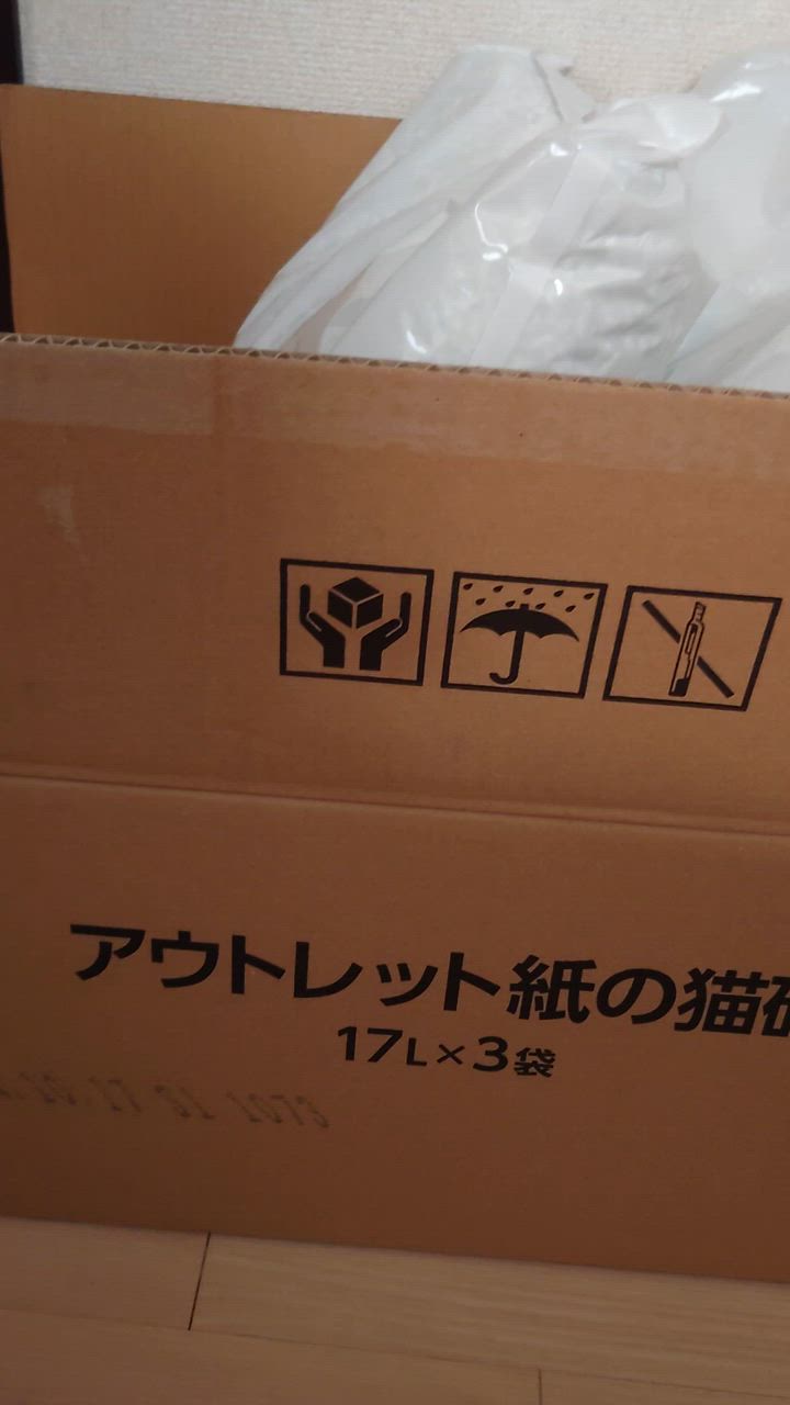 全体のレビュー動画のサムネイル | 17