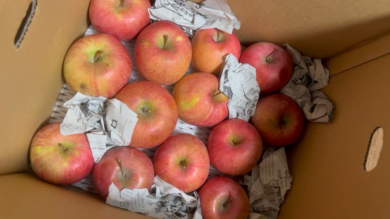 全体のレビュー動画のサムネイル | 4