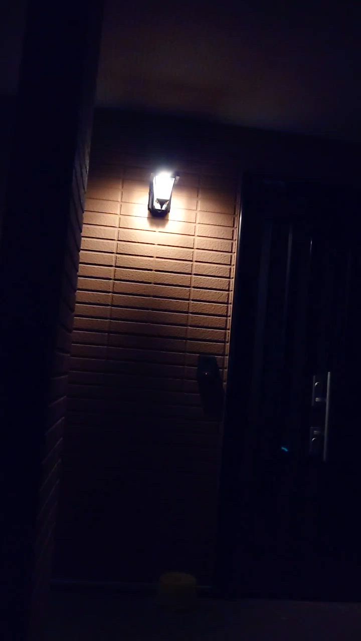2件目のレビュー動画のサムネイル | 0