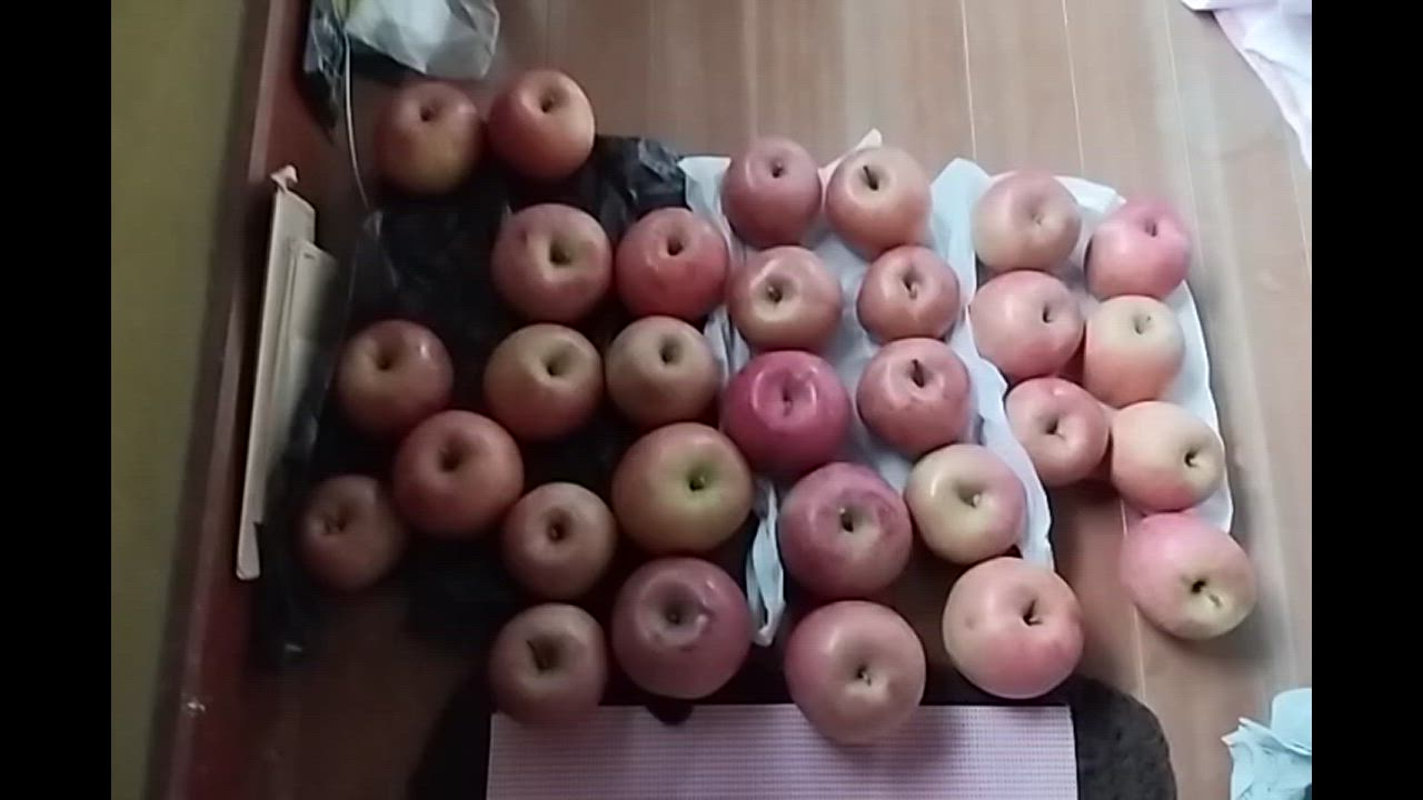 全体のレビュー動画のサムネイル | 3