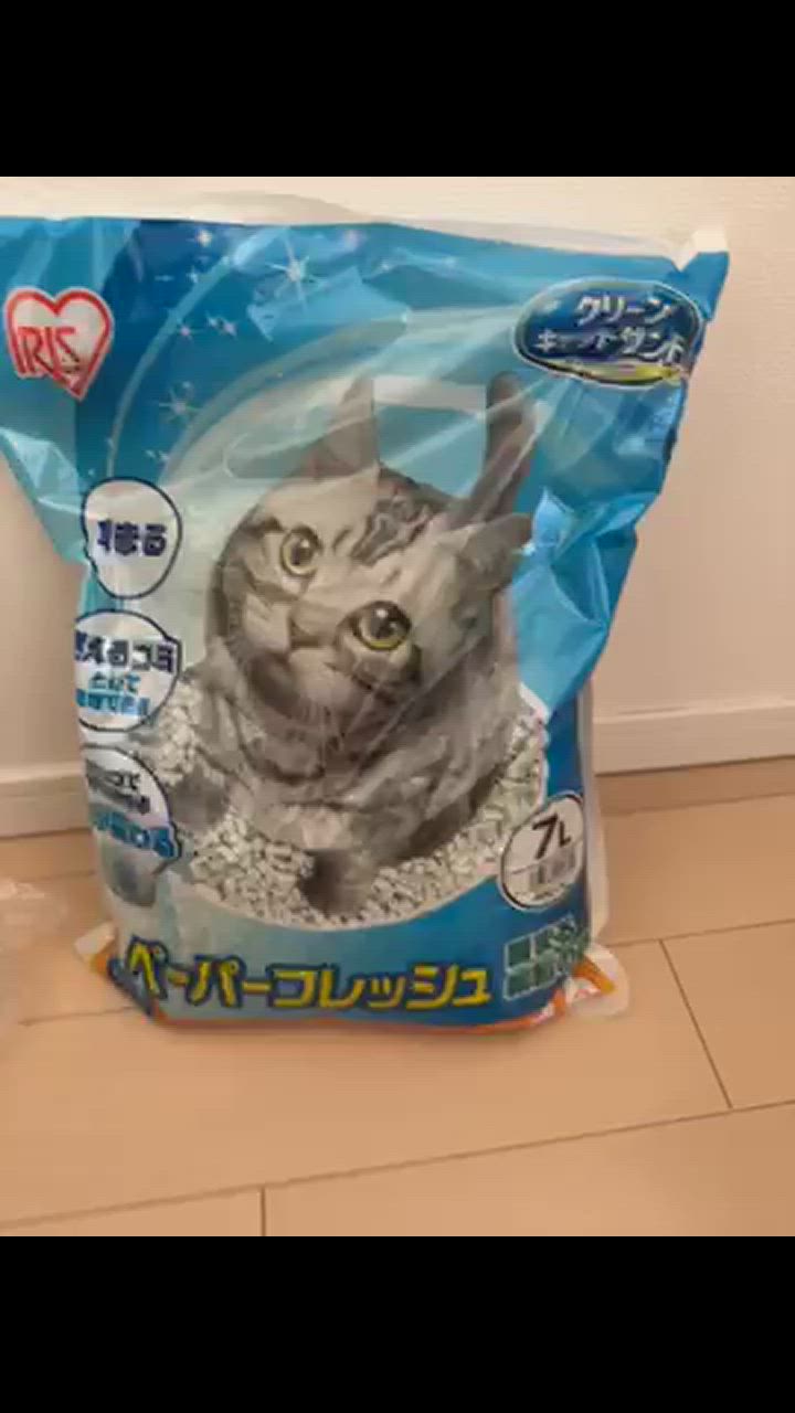 全体のレビュー動画のサムネイル | 3