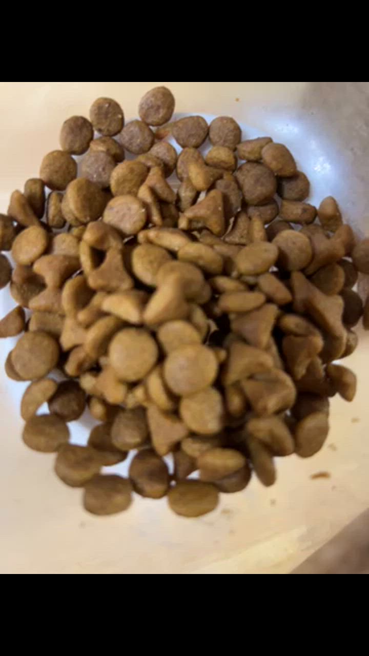 全体のレビュー動画のサムネイル | 0