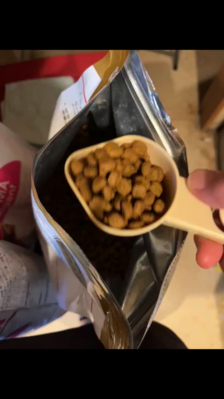 全体のレビュー動画のサムネイル | 0