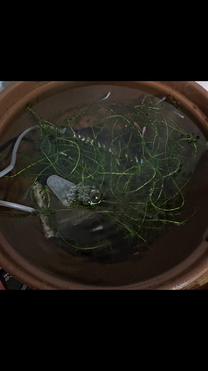 全体のレビュー動画のサムネイル | 13