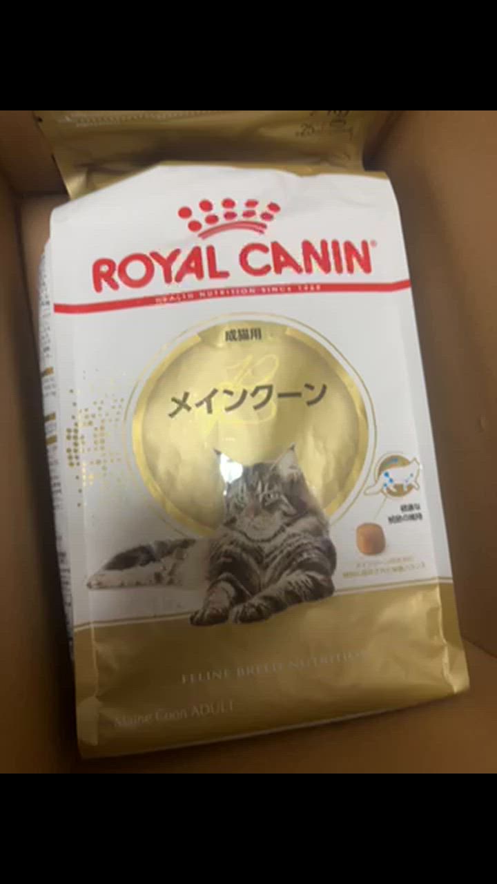 ロイヤルカナン ロイヤルカナン 猫 メインクーン 成猫用 生後