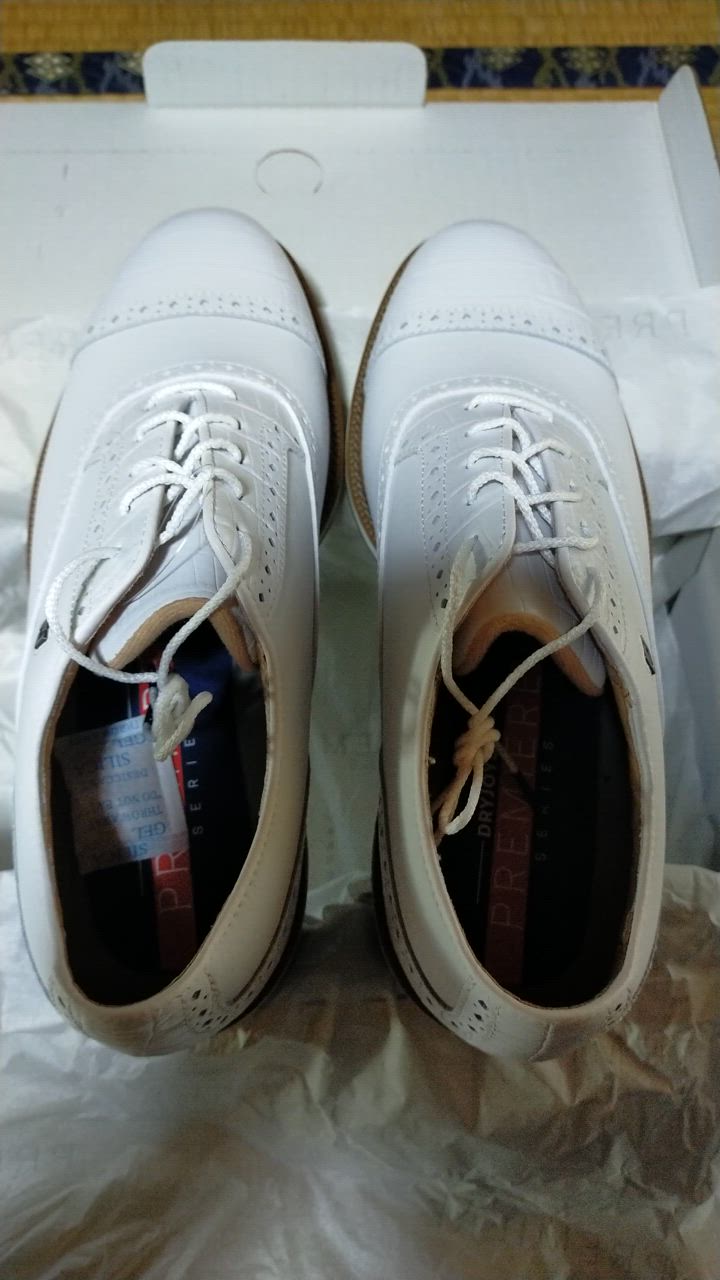 FootJoy フットジョイ ゴルフシューズ 紐タイプ ドライジョイズ