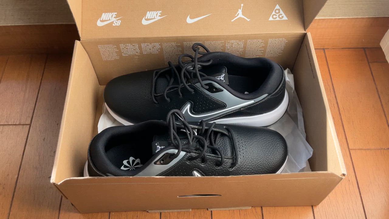 NIKE ナイキ（NIKE）（メンズ）ゴルフシューズ ビクトリー プロ