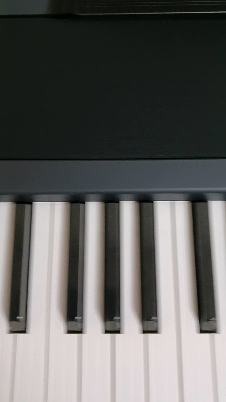 KORG 電子ピアノ B2SP-WH 純正ピアノダストカバー付 引き取り限定 KORG 【史上最大決算セール】【台数限定・純正ピアノダスト