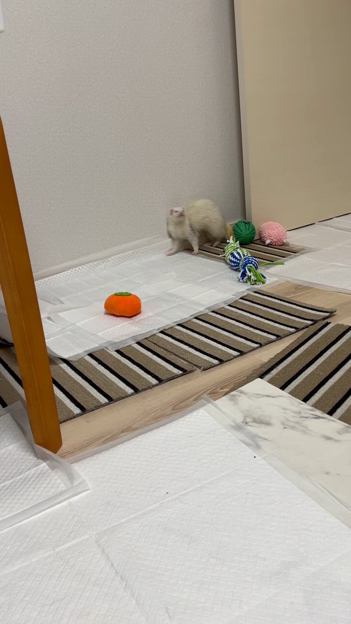全体のレビュー動画のサムネイル | 4