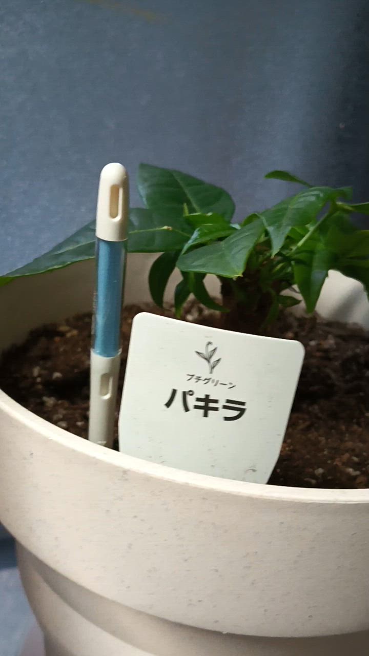 1件目のレビュー動画のサムネイル | 0