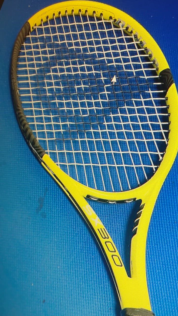 DUNLOP ダンロップ テニス硬式テニスラケット SX 300 DS22201