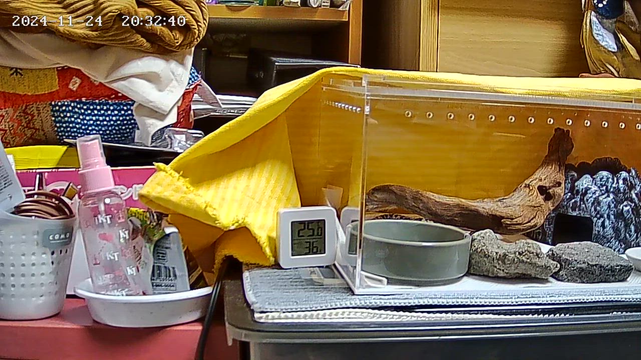 全体のレビュー動画のサムネイル | 12
