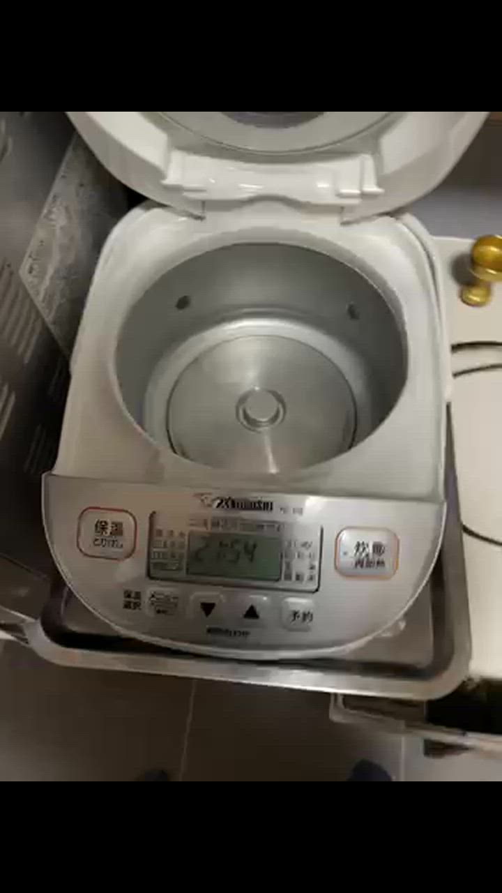 象印 NL-DS10 炊飯器 シルバー 圧力IH炊飯ジャー NP-ZU型｜商品情報｜象印