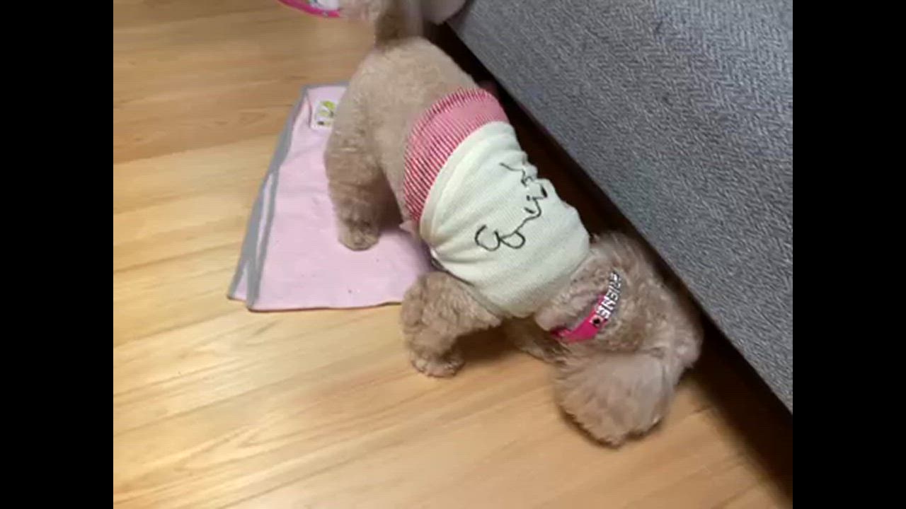 全体のレビュー動画のサムネイル | 1