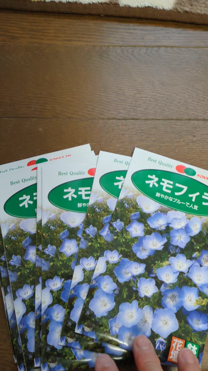 花種 花たね ネモフィラ 1袋（400mg） : 花と緑 国華園 - 通販