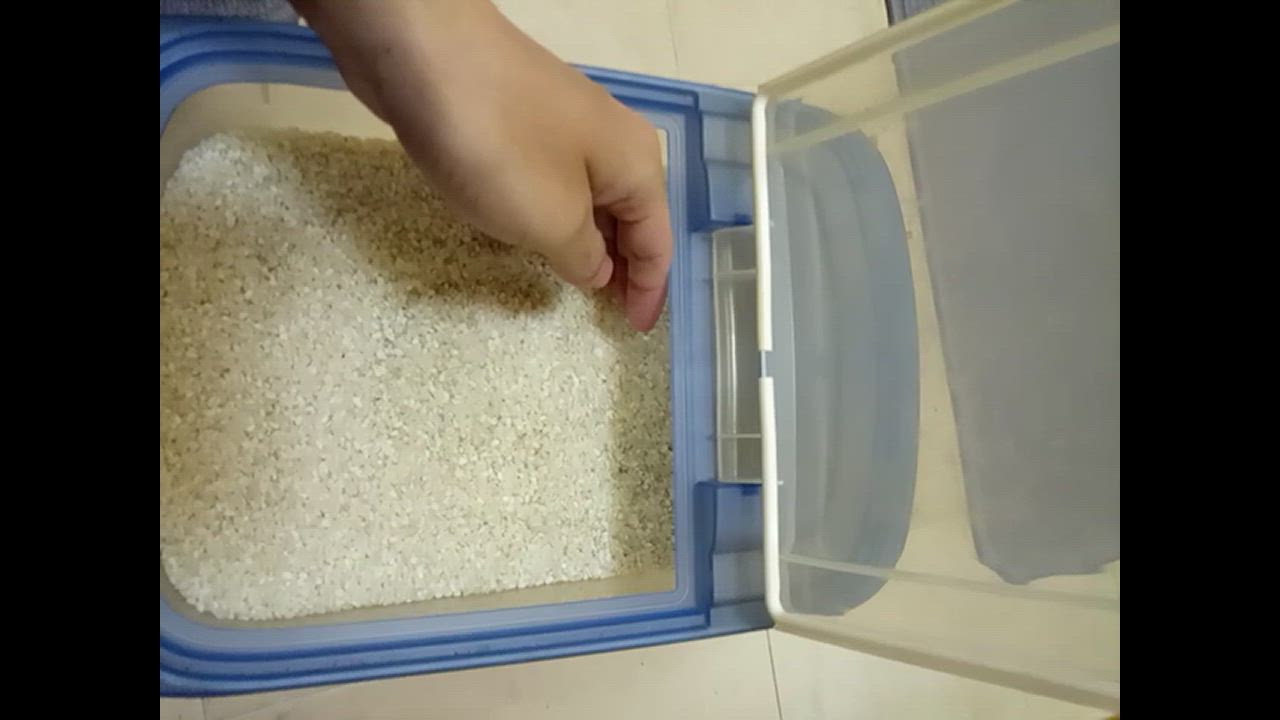 全体のレビュー動画のサムネイル | 19