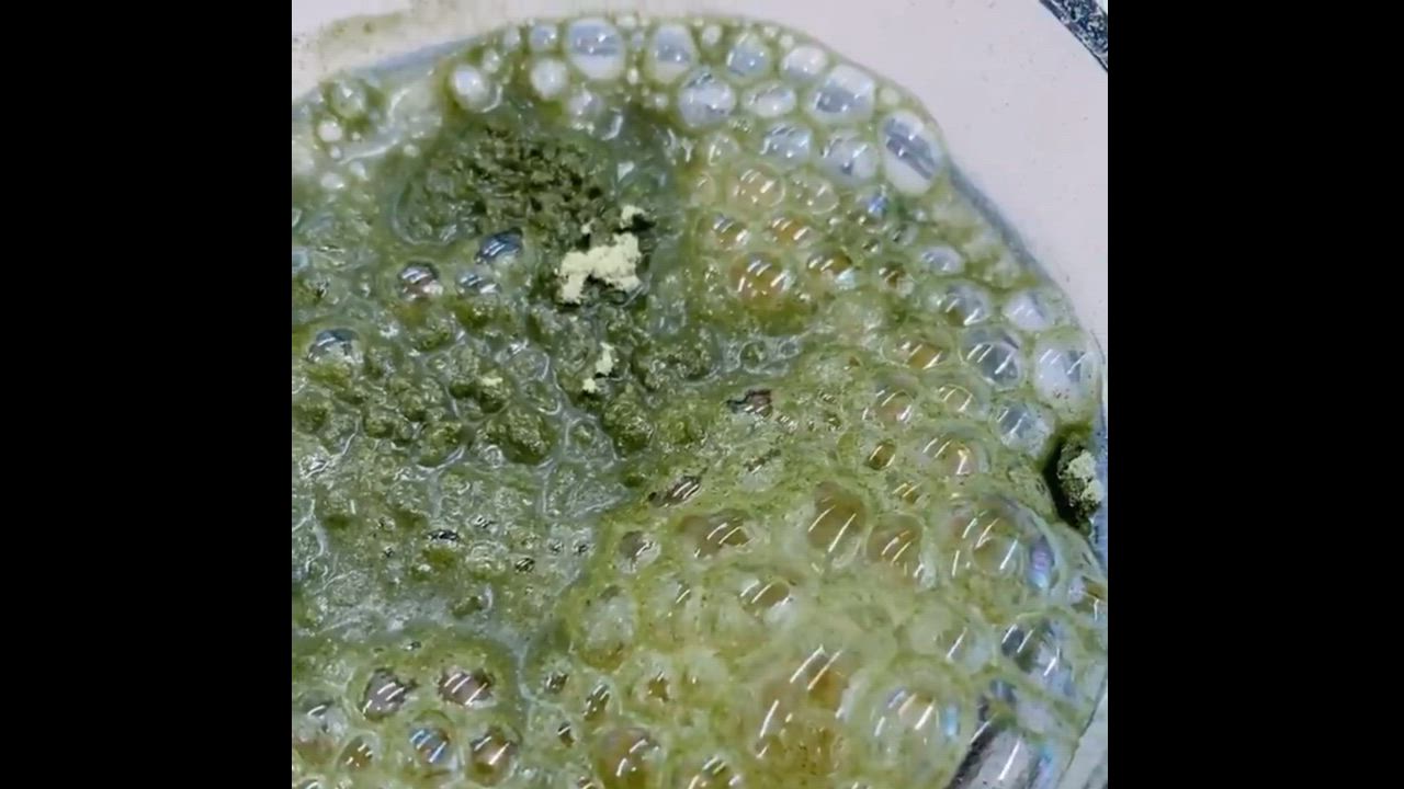全体のレビュー動画のサムネイル | 7