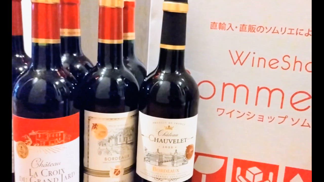 全体のレビュー動画のサムネイル | 8