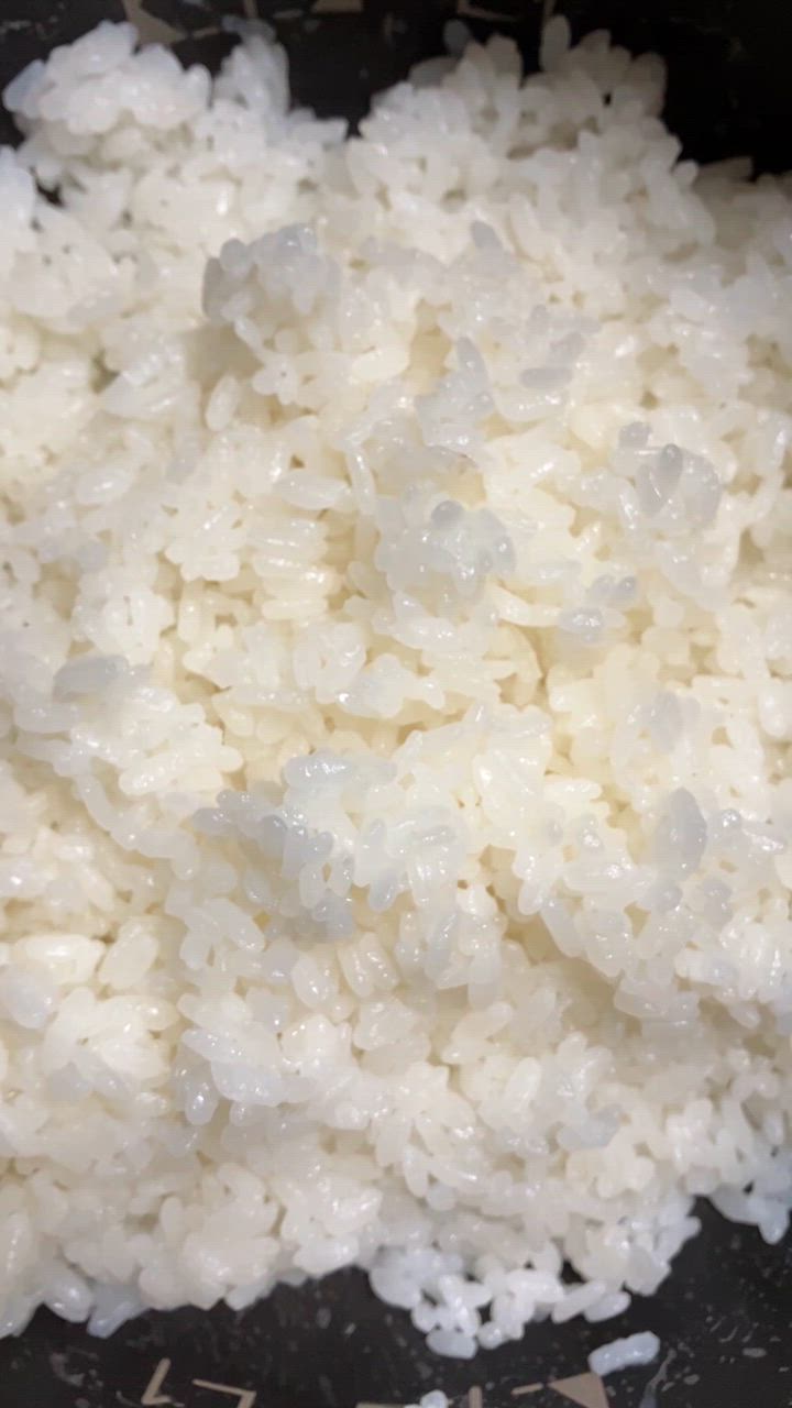 コシヒカリ 米 20kg 新潟県産コシヒカリ お米 20キロ 白米 令和6