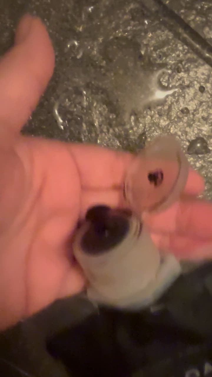 全体のレビュー動画のサムネイル | 4