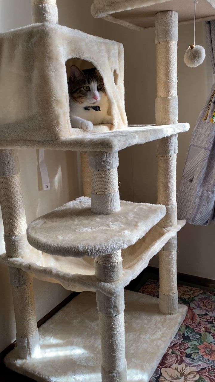 HAMI PET キャットタワー 据え置き 猫タワー 木製 猫 爪とぎ 猫