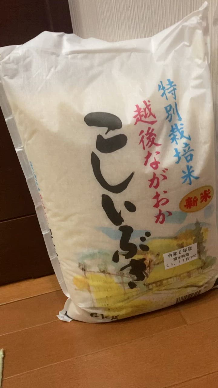 こしいぶき 【数量限定】令和6年産 お米 10kg 白米 特別栽培米