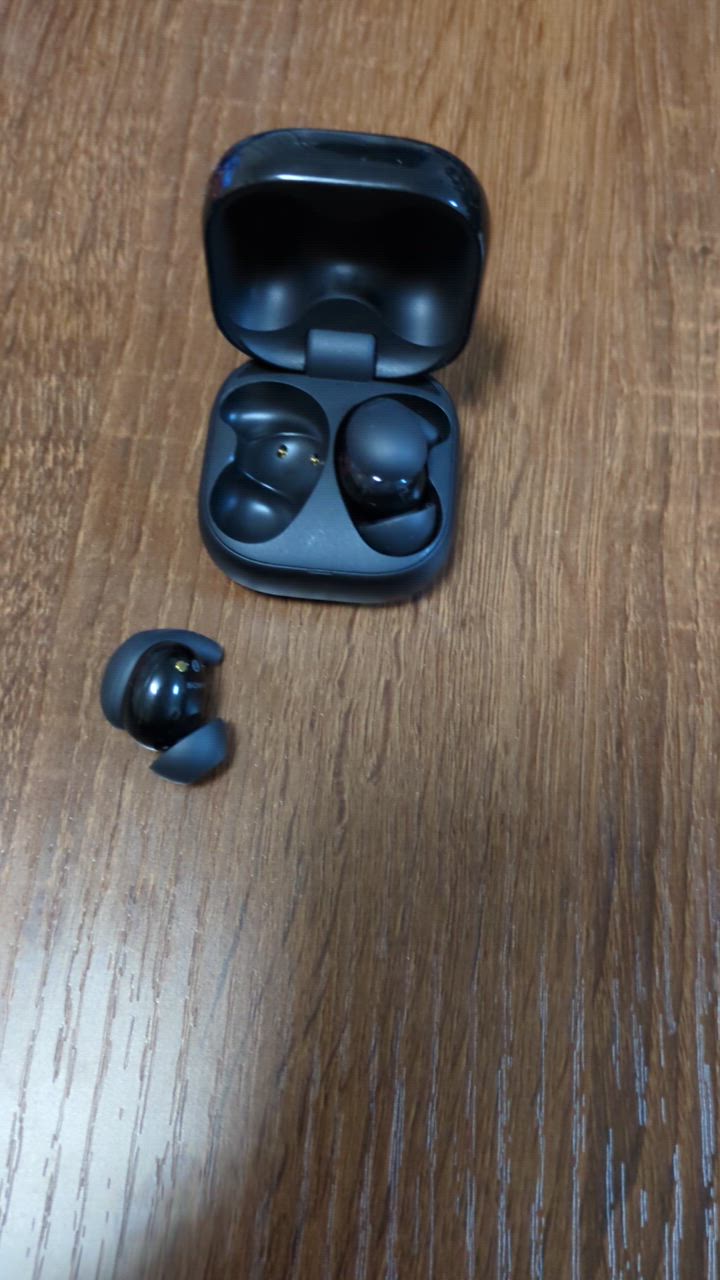 ソニー SONY 完全ワイヤレスイヤホン LinkBuds Fit ( リンク