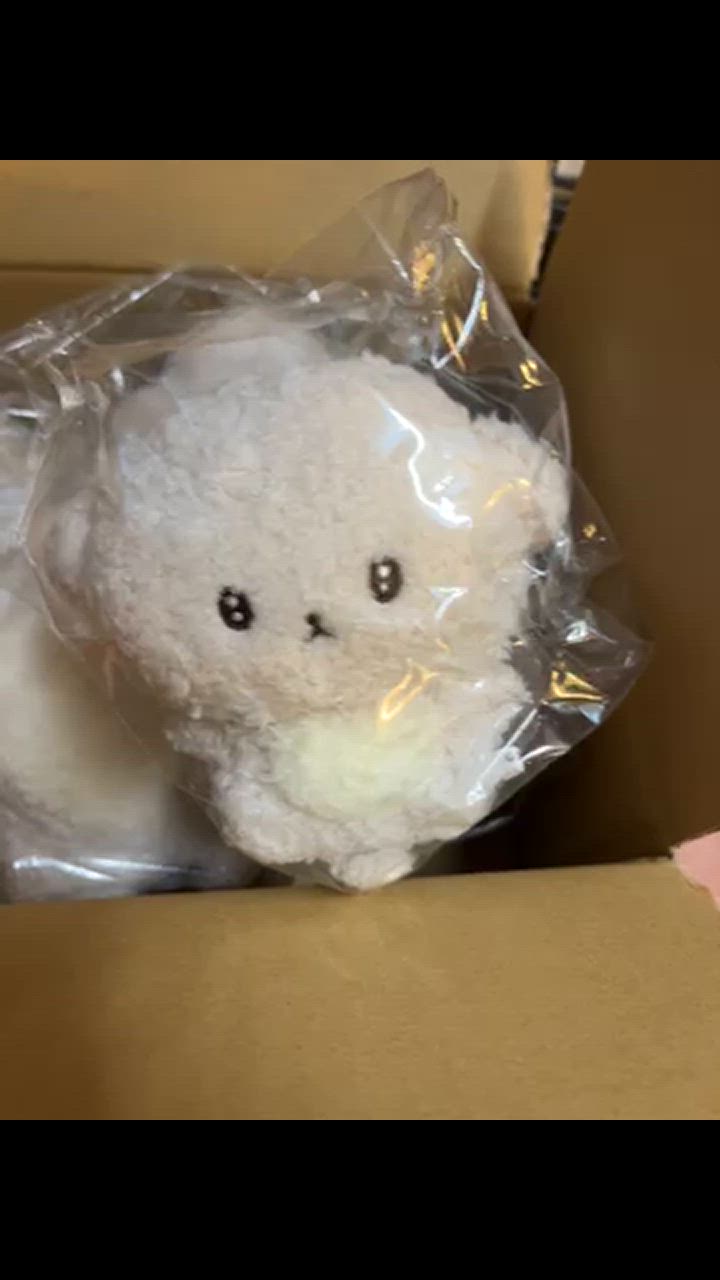 San-X いしよわちゃん ぶらさげぬいぐるみ 0260 サンエックス 犬