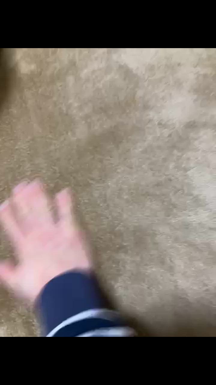 全体のレビュー動画のサムネイル | 2