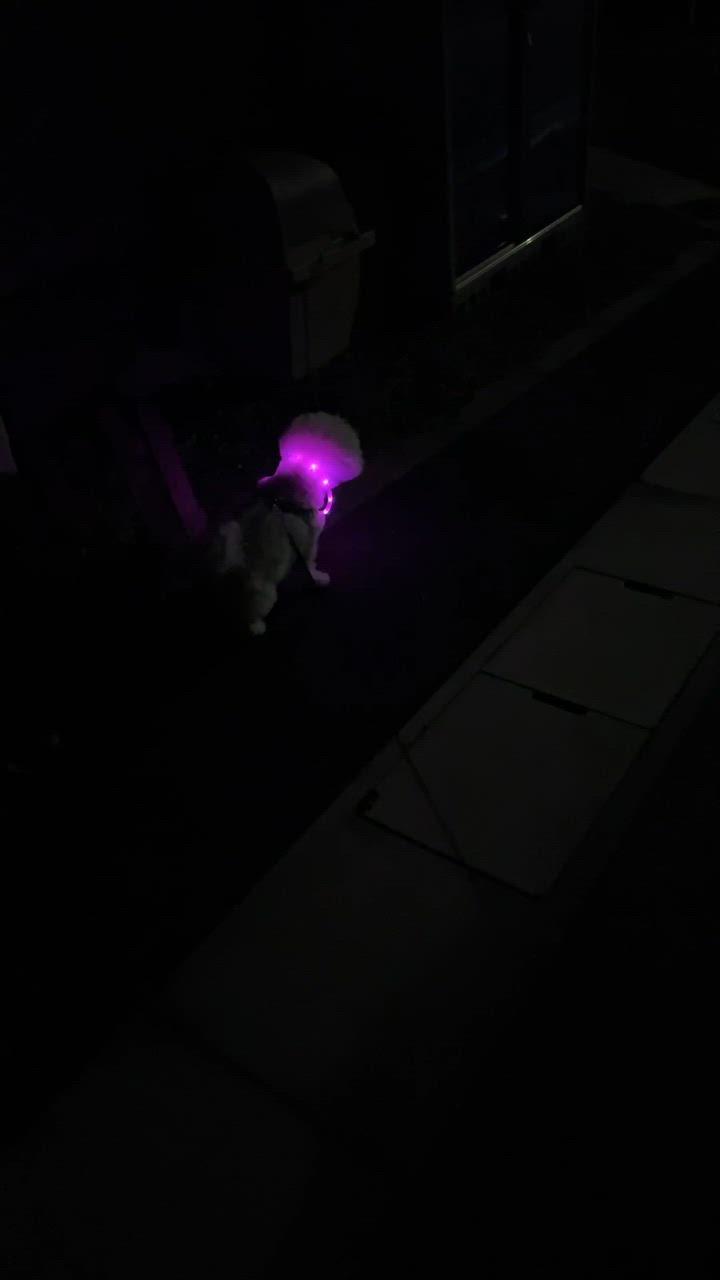 全体のレビュー動画のサムネイル | 14