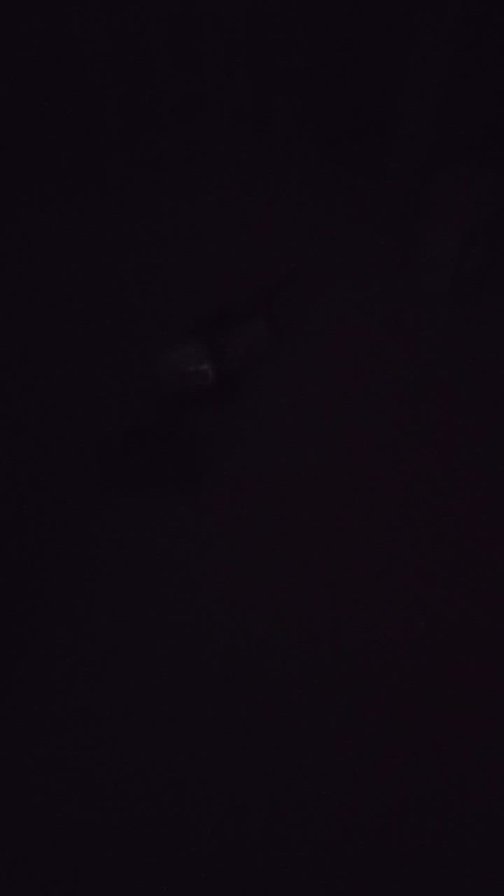 全体のレビュー動画のサムネイル | 13