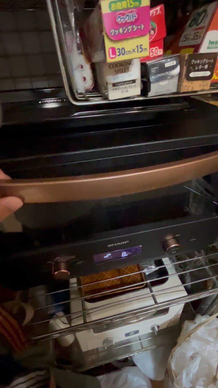 dinos レンジメートプロ 電子レンジ専用調理器 レンジで焼き魚